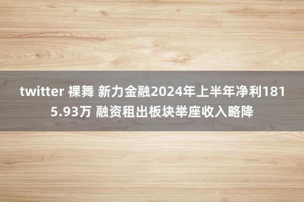 twitter 裸舞 新力金融2024年上半年净利1815.93万 融资租出板块举座收入略降