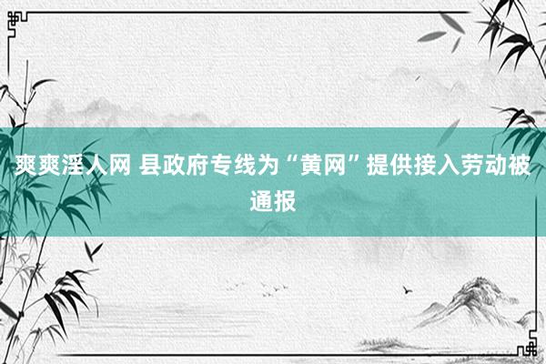 爽爽淫人网 县政府专线为“黄网”提供接入劳动被通报