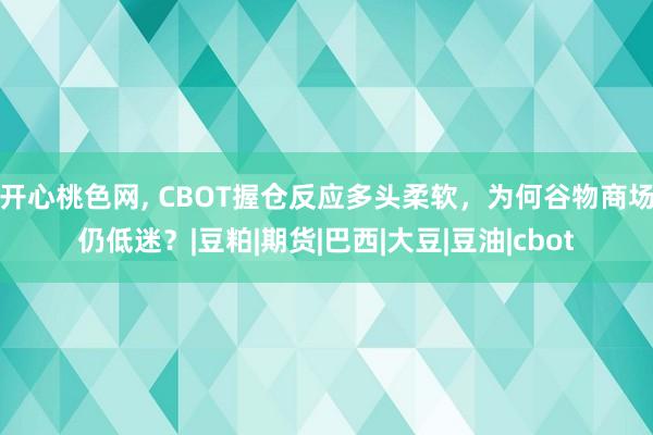 开心桃色网， CBOT握仓反应多头柔软，为何谷物商场仍低迷？|豆粕|期货|巴西|大豆|豆油|cbot